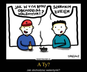Dzień singla - najlepsze MEMY