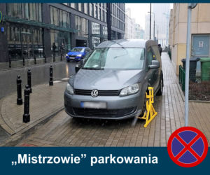 Mistrzowie Parkowania: Zobacz najbardziej kuriozalne pomysły kierowców