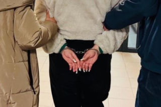 Brutalne pobicie w Rudzie Śląskiej. 17-latka trafiła do aresztu