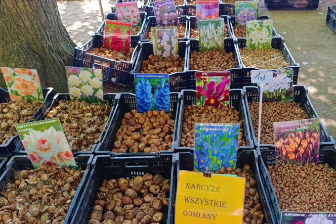 "Pamiętajcie o ogrodach"