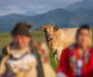 Gienek i Jastrząb zobaczyli góry