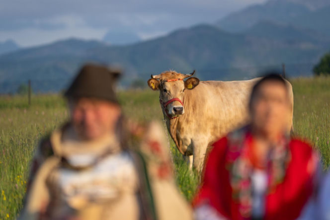 Gienek i Jastrząb zobaczyli góry