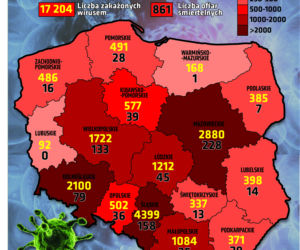 Koronawirus: Zobacz wykresy i prognozy – stan na 13.05.2020, godz. 17.30