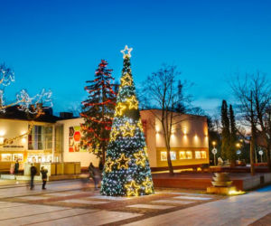 Bełchatów: Miasto rozbłysło tysiącem światełek! Bożonarodzeniowe iluminacje robią wrażenie 