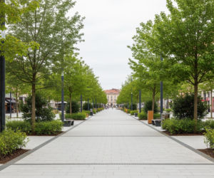 Aleja Centralna w Warszawie. Jak zmieni się serce stolicy?
