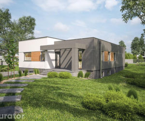 Projekt C340a Powściągliwy