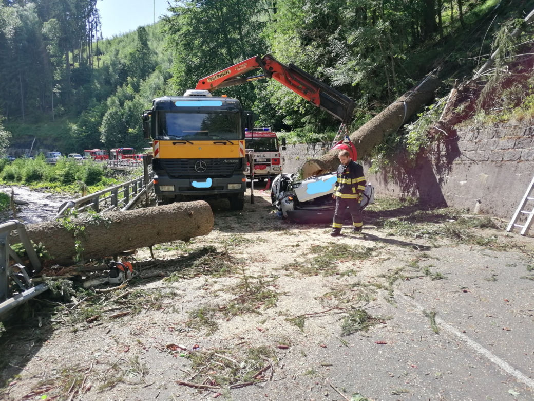 Świerk spadł na opla w Karkonoszach. W śmiertelnym wypadku zginął 15-latek i dwie kobiety