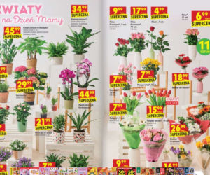 Biedronka dzień matki