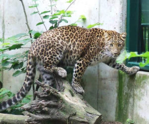 Tierpark Cottbus