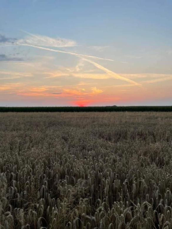 Zdjęcia Poznania od naszych Czytelników. Sprawdź te niesamowite ujęcia!