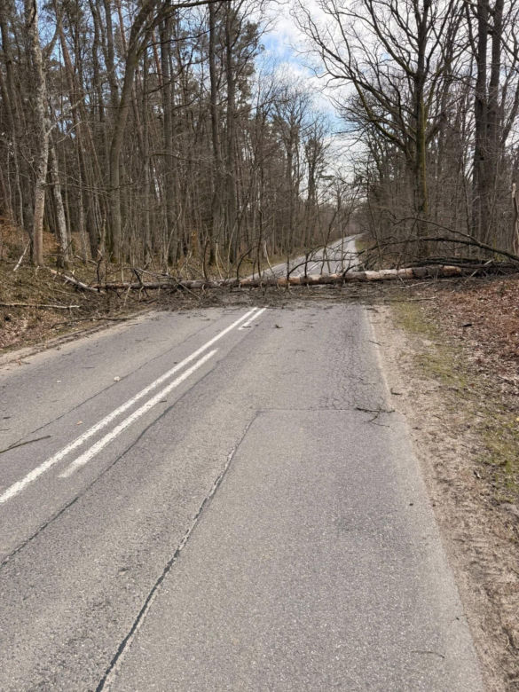 Zerwane dachy, powalone drzewa i prawie 11 tysięcy odbiorców bez prądu!