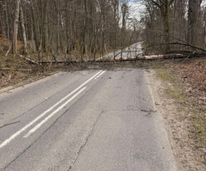 Zerwane dachy, powalone drzewa i prawie 11 tysięcy odbiorców bez prądu!