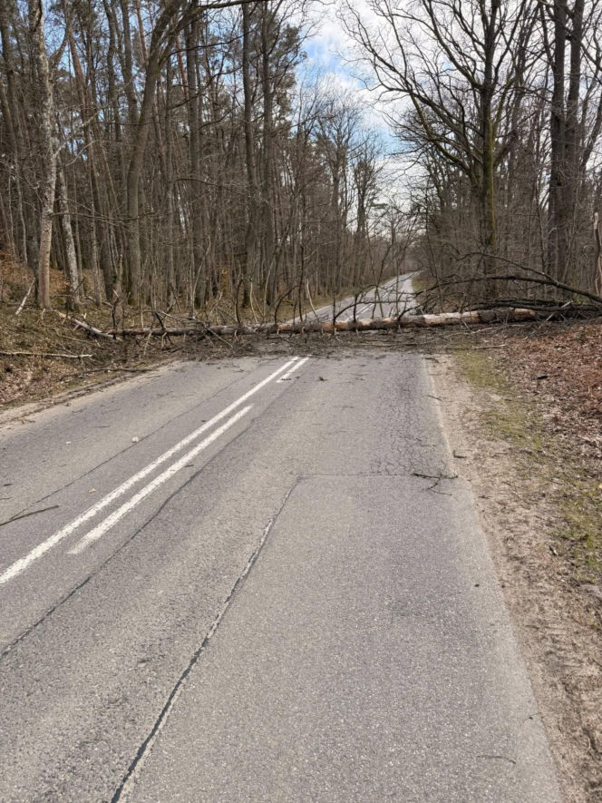 Zerwane dachy, powalone drzewa i prawie 11 tysięcy odbiorców bez prądu!