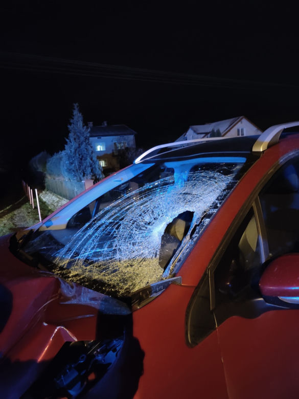 Tragiczny wypadek w powiecie zamojskim