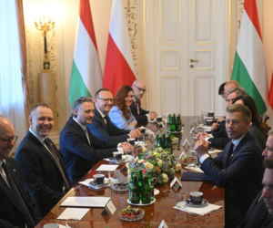 Spotkanie premiera Węgier z prezydentem Karolem Nawrockim
