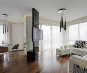 Apartament zdjecie 3