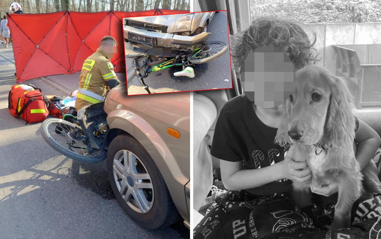 12-letni Sambor zjechał wprost pod auto. Straszny wypadek w województwie śląskim