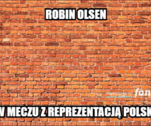Mecz Polska - Szwecja: MEMY PO MECZU. Polska odpada z Euro 2020 [ZDJĘCIA]