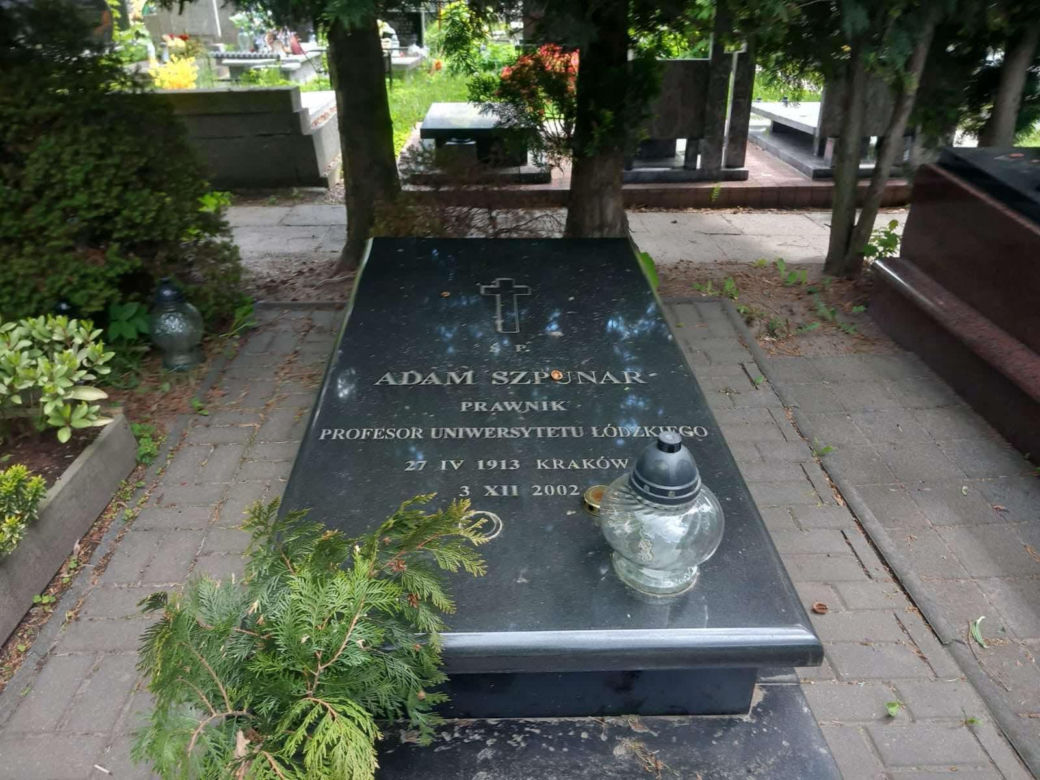 Aleja Zasłużonych Doły