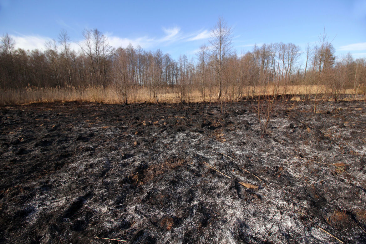 Biebrzański Park Narodowy UGASZONY. Zobacz, jakie zniszczenia spowodował ogień