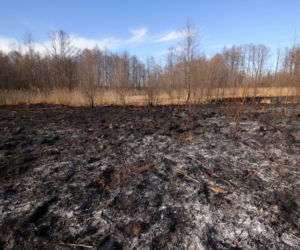 Biebrzański Park Narodowy UGASZONY. Zobacz, jakie zniszczenia spowodował ogień