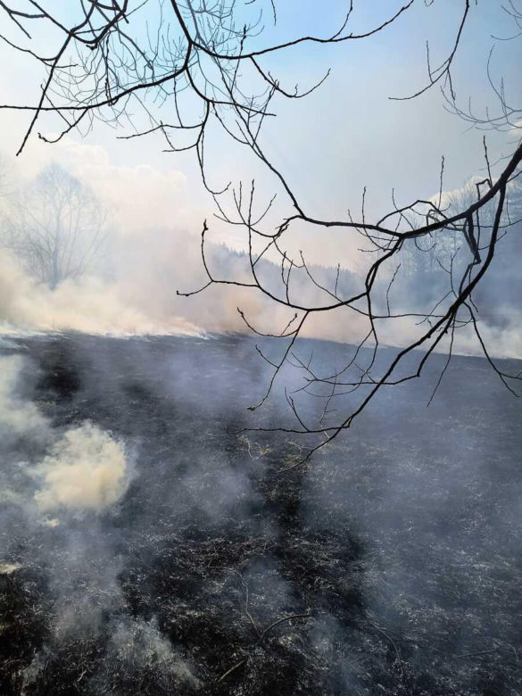 Ktoś podpalił łąkę w Bieszczadach