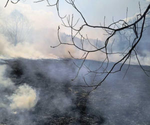 Ktoś podpalił łąkę w Bieszczadach