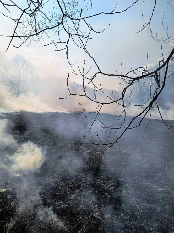 Ktoś podpalił łąkę w Bieszczadach