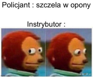 Instrybutor podbija internet