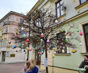 Pisankowy desant - Tarnów 2021