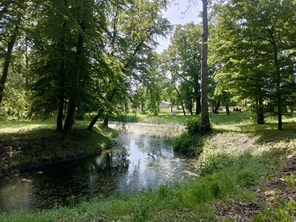 Parki podworskie w powiecie gdańskim