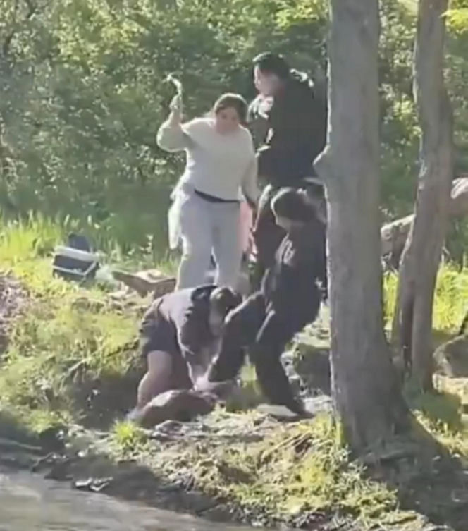 Bóbr zaatakował dziecko! Szokujące wideo w sieci