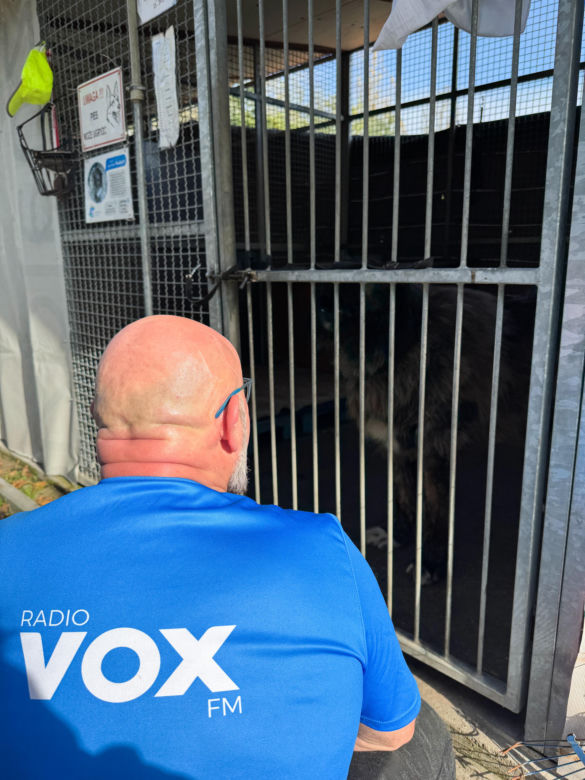 Radio VOX FM w Schronisku na Paluchu