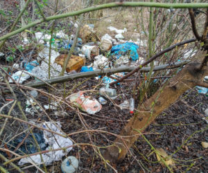 Wysypisko śmieci niedaleko Jeziorka Czerniakowskiego