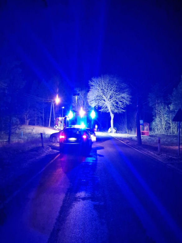 Dramatyczny wypadek w Herbutowie! Auto uderzyło w drzewo i spłonęło. Jedna osoba nie żyje