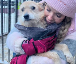 Koniec heroizmu Dody? Artystka mówi dość po dramatycznych wizytach w schroniskach