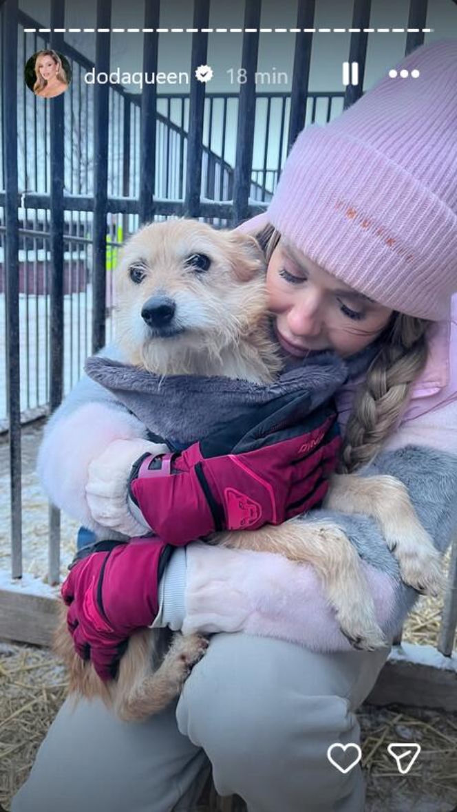 Koniec heroizmu Dody? Artystka mówi dość po dramatycznych wizytach w schroniskach