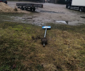 Gmina Olsztynek została ZDEWASTOWANA. Wyrwane ławki, znaki drogowe i zniszczony przystanek [FOTO]