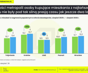 Rynek pierwotny coraz bardziej podzielony