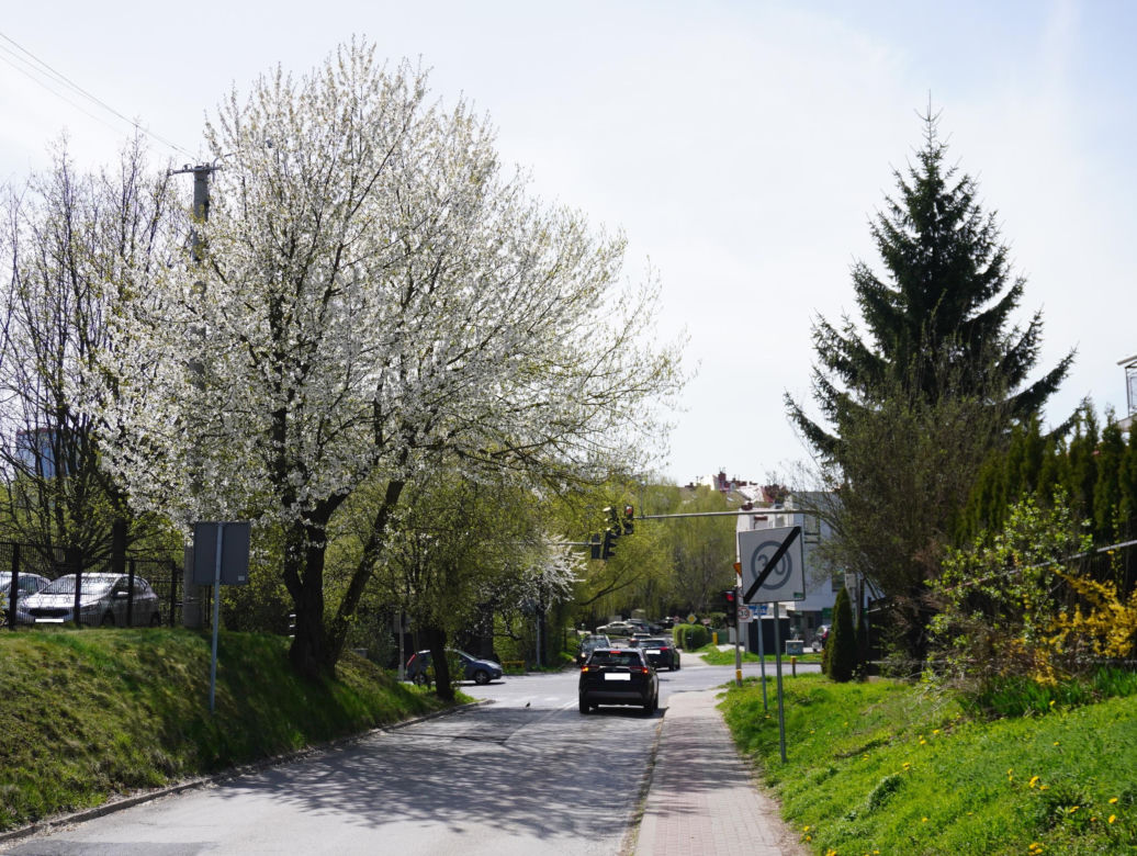 Wiosenny spacer po dzielnicy Sławinek w Lublinie