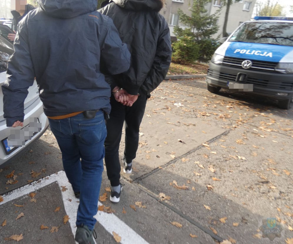 Policja zatrztmała dealera. To 28-letni mężczyzna z Opola