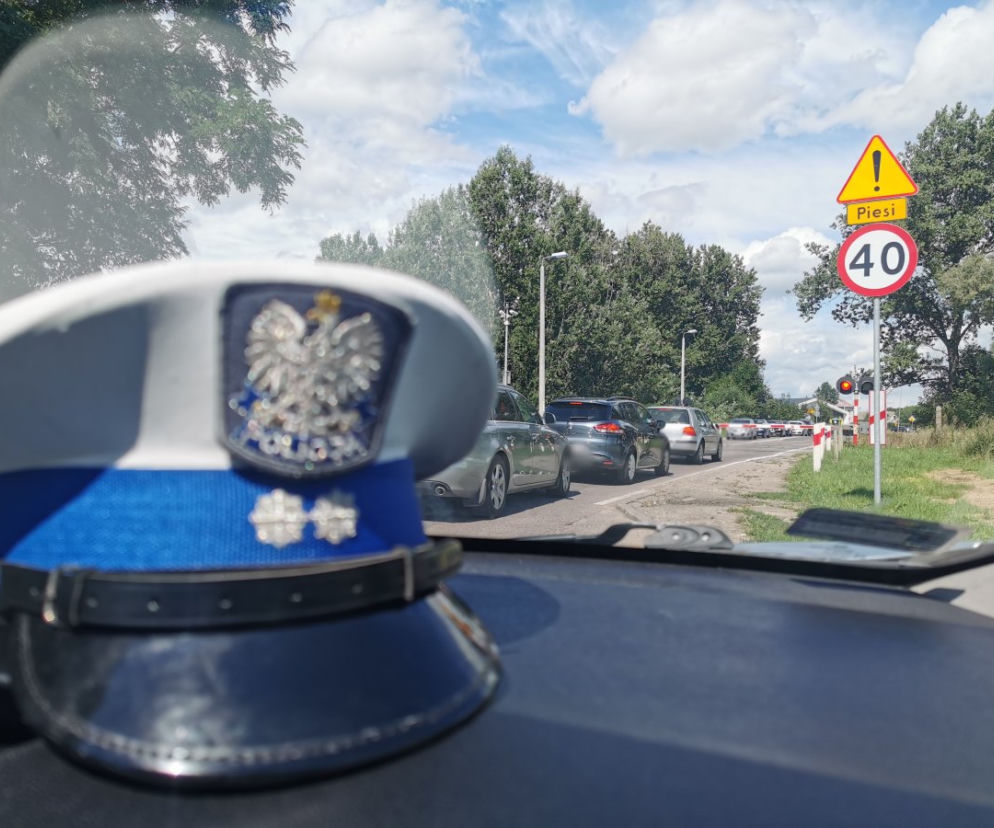policyjne kontrole