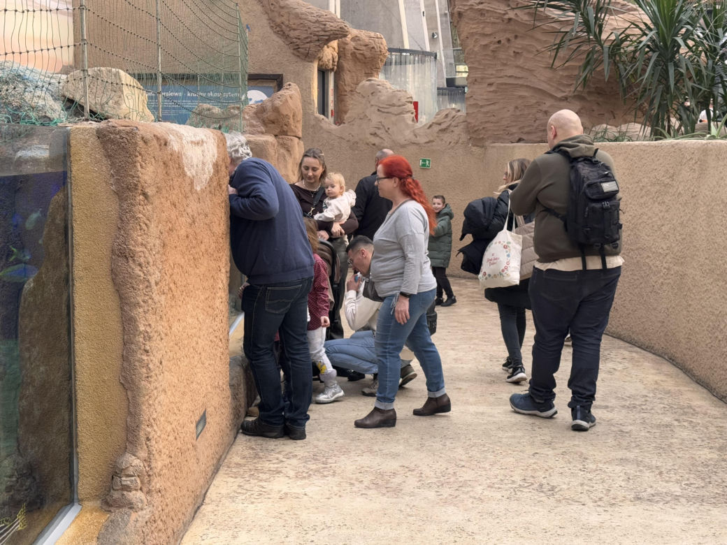 Czy warto jechać do ZOO Wrocław zimą?