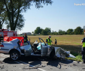 Śmiertelny wypadek na DW 416. Kierowca zginął na miejscu [ZDJĘCIA]