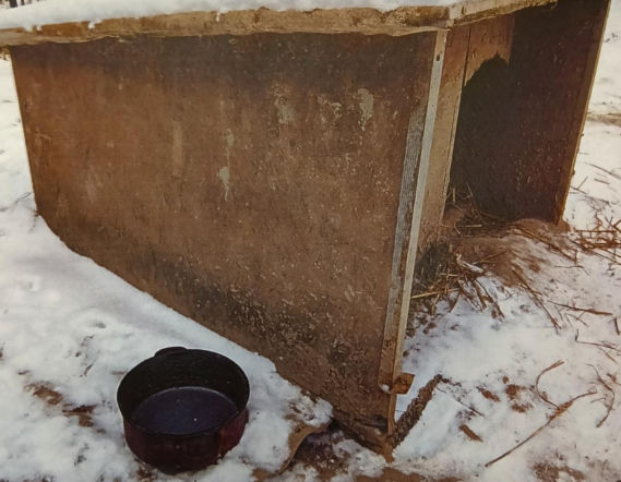 Widok rozrywający serce. Wychudzony pies na łańcuchu, obok pusta miska