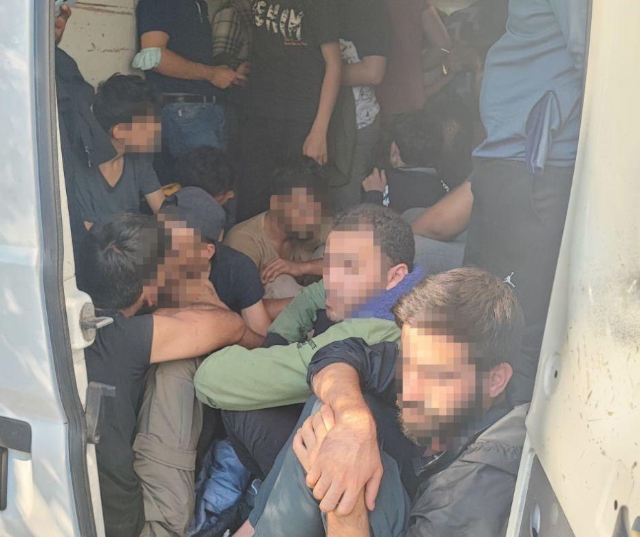 Migranci