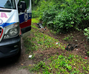 Groźny wypadek na leśnym odcinku drogi. Karetka rozbiła się między Stykowem a Kałkowem