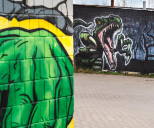 Przy ul. Mieszka I w Siedlcach można podziwiać całą galerię murali i graffiti