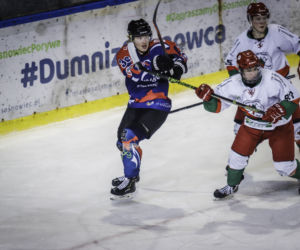 Zagłębie Sosnowiec - KH Energa Toruń 3:5, zdjęcia z meczu