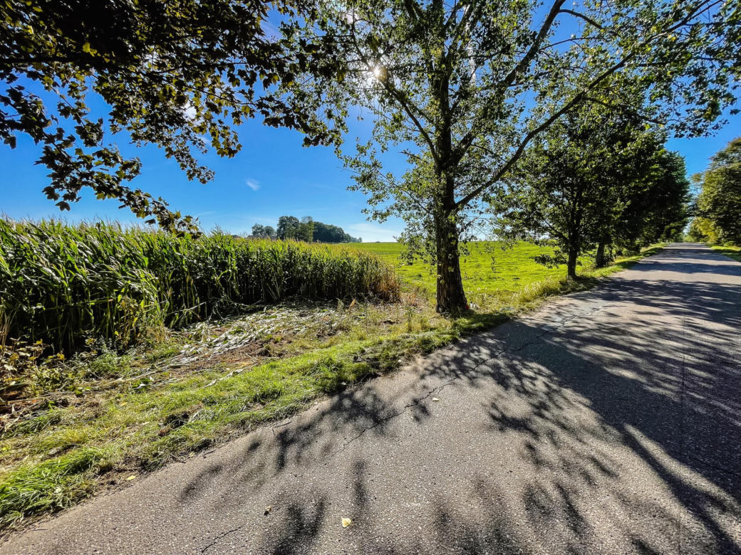 2-letni Grześ zginął w tragicznym wypadku! Jego ciężarna mama walczy o życie